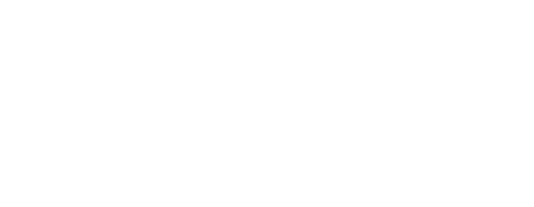 SÜDSTAATEN TOUR Bei unserer Südstaaten Tour beginnt das Abenteuer in der amerikanischen Hauptstadt Washington D.C. Hier können Ihr endlich das Lincoln Memorial, das Weiße Haus und vieles mehr, welche man sonst nur aus dem Fernsehen kennt, live bestaunen. Auf unserer Reise führt es uns entlang atemberaubender Straßen durch die Appalachen und somit durch den Shennendoah Nationalpark, Blue Ridge Mountain Parkway und den Great-Smoky-Mountains-Nationalpark. Doch neben der wunderschönen Natur wird die Tour auch mit ganz viel Musik begleitet- es geht auf die Spuren von Elvis! Wir besuchen seine Geburtsstadt Tupelo und statten seinem Anwesen Graceland einen Besuch ab. Auf unserem Weg führt es uns nach Nashville, Memphis und Natchez. Diese Städte sind bekannt für Ihren eigenen Musik- und Küchenstil: Rock 'n' Roll und Soul Food in Memphis, Country Music und Southern Comfort Food in Nashville. Die Tour endet dann in der für Jazz und Kreolische Küche bekannten Stadt New Orleans.